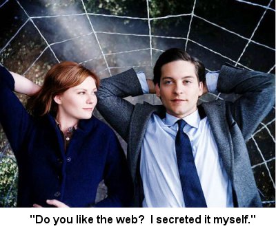 spidey_web.jpg