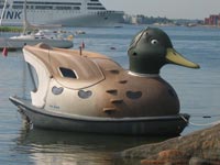 duckboat_finduck_honey4.jpg