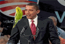 barak-loves-birds_b3ta