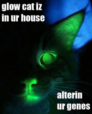 mr-green-genes_-arbroath-081027