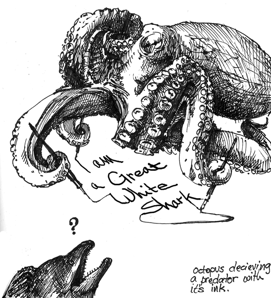 octopus-strategy_-beeeeaak-080501 octopus-strategy_-beeeeaak-080501