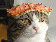 catcrab