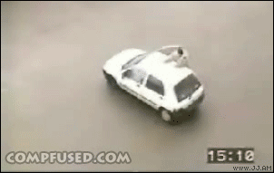 doggg_woosk doggg_woosk