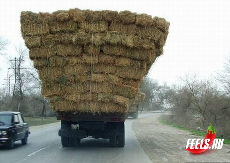 hay_feelsru hay_feelsru