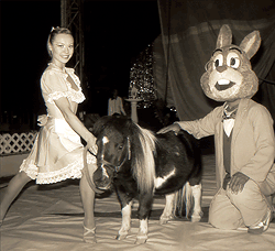 ponybunnybabe ponybunnybabe