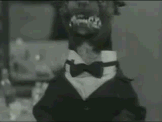 dramatic-dogs dramatic-dogs