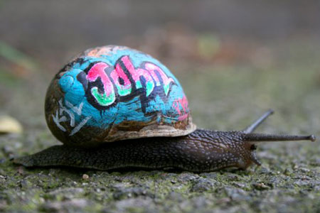 graffiti-snails graffiti-snails