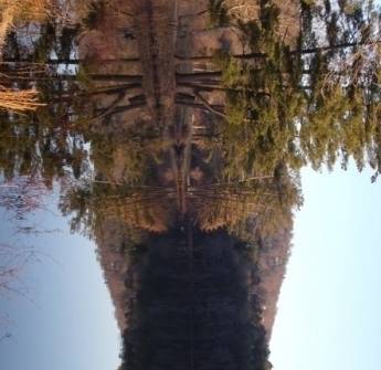 lakeface_the-havens-090205a lakeface_the-havens-090205a