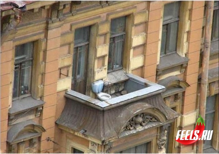 wc-roof_feelsru_081218 wc-roof_feelsru_081218