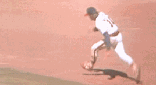 baseball-tiger_gif-anime baseball-tiger_gif-anime