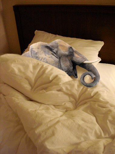 snore-elephant snore-elephant