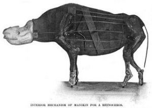 rhinocerous-kit_hanuman-090429 rhinocerous-kit_hanuman-090429