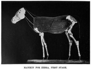 zebra-kit_hanuman-090429 zebra-kit_hanuman-090429