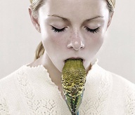 Bird in Mouth2 Bird in Mouth2