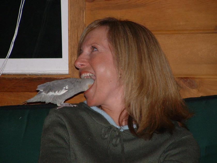 Bird in Mouth4 Bird in Mouth4