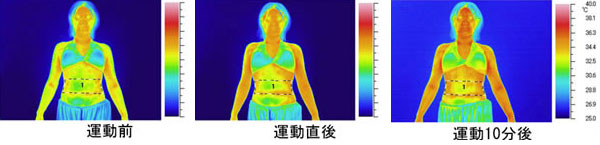 boneless-belt-Thermal