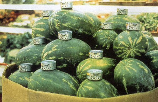 Catscans_Your Daily Awesome 060914 Catscans_Your Daily Awesome 060914