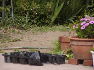 HarrierCat_GIF Anime 090818 HarrierCat_GIF Anime 090818