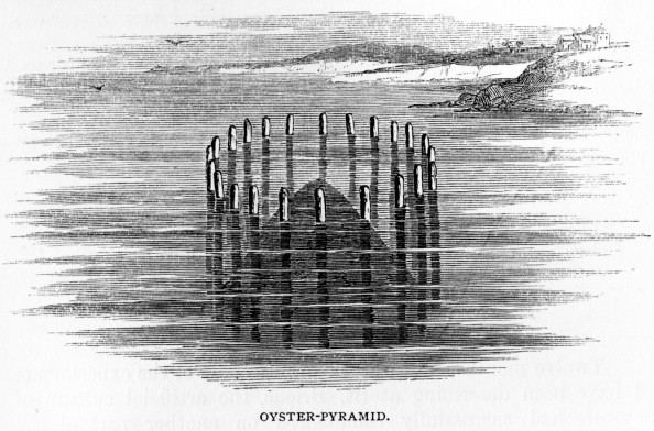Oyster Pyramid_Team Assignment 090617 Oyster Pyramid_Team Assignment 090617