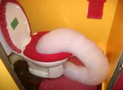 potty foam potty foam