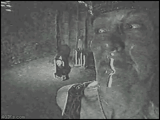 Scary Something_4gifs Scary Something_4gifs