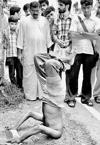 Sidewalk Plant_The Hindu 060817 Sidewalk Plant_The Hindu 060817