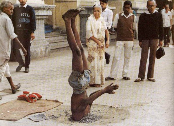 Sidewalk Plant_Think 081014 Sidewalk Plant_Think 081014