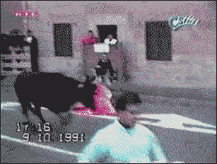 bull clunk_Threadbombing bull clunk_Threadbombing