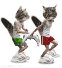 Cat Fish Relay_GIF Anime 090820 Cat Fish Relay_GIF Anime 090820