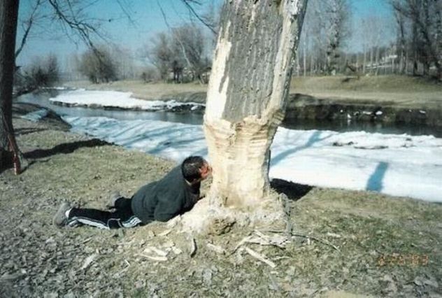 Jerry Mathers Loses It_Daily Mixed Picdump 153 090915 Jerry Mathers Loses It_Daily Mixed Picdump 153 090915