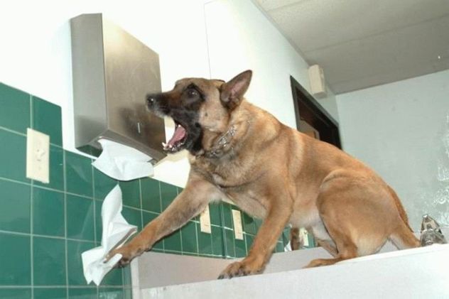 Wash Your Hands_Daily Mixed Picdump 153 090915 Wash Your Hands_Daily Mixed Picdump 153 090915