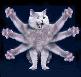 DecaCat_Janitor of Lunacy 091102 DecaCat_Janitor of Lunacy 091102