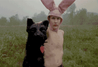 Look at this Dog_Creepy Gif 090921 Look at this Dog_Creepy Gif 090921