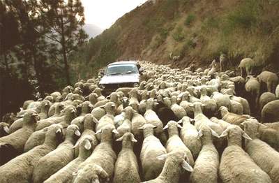 new zeland traffic_VE 091022 new zeland traffic_VE 091022