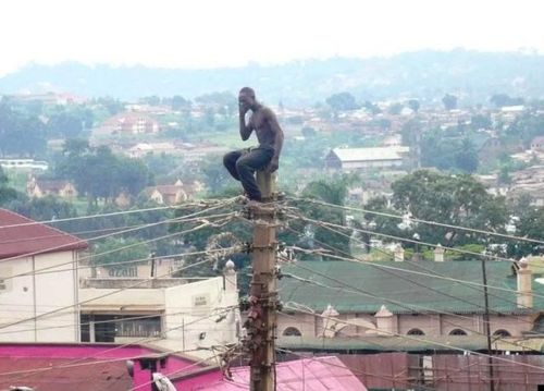 Can You Hear Me Now_anthroLOLogy 091016