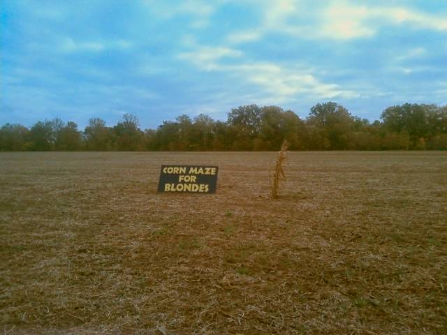 Corn Maze_Just Humor Me 081113