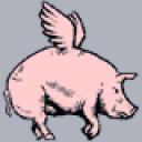 flying pig