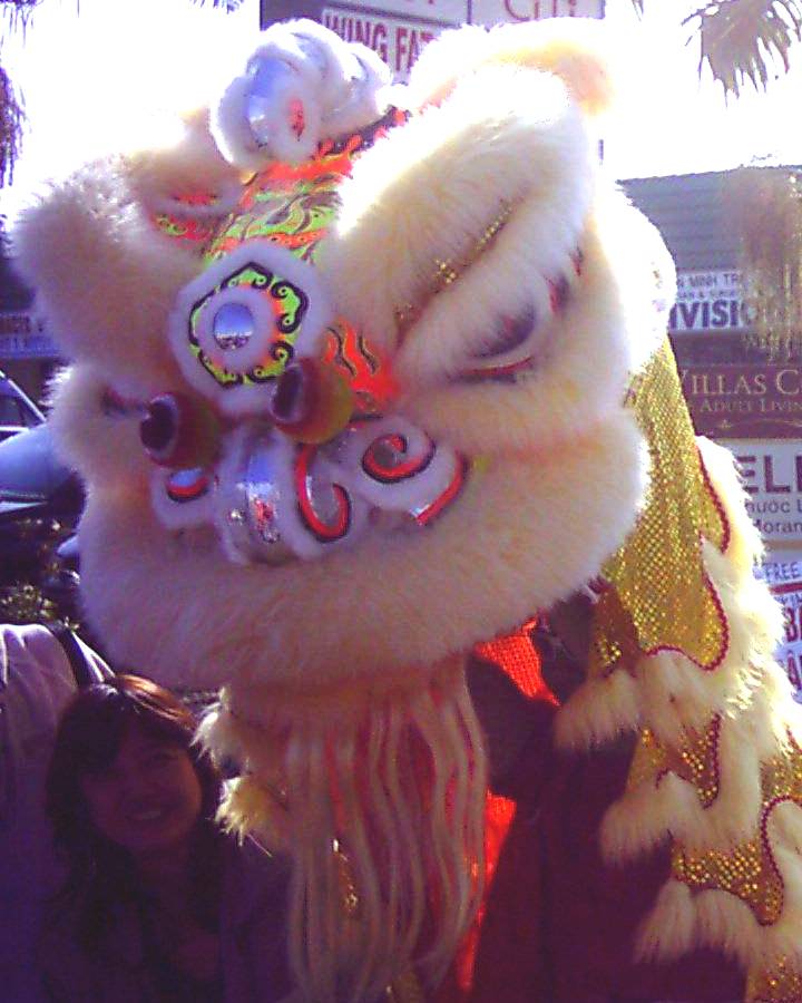 Tet 2010 Little Saigon (38)a