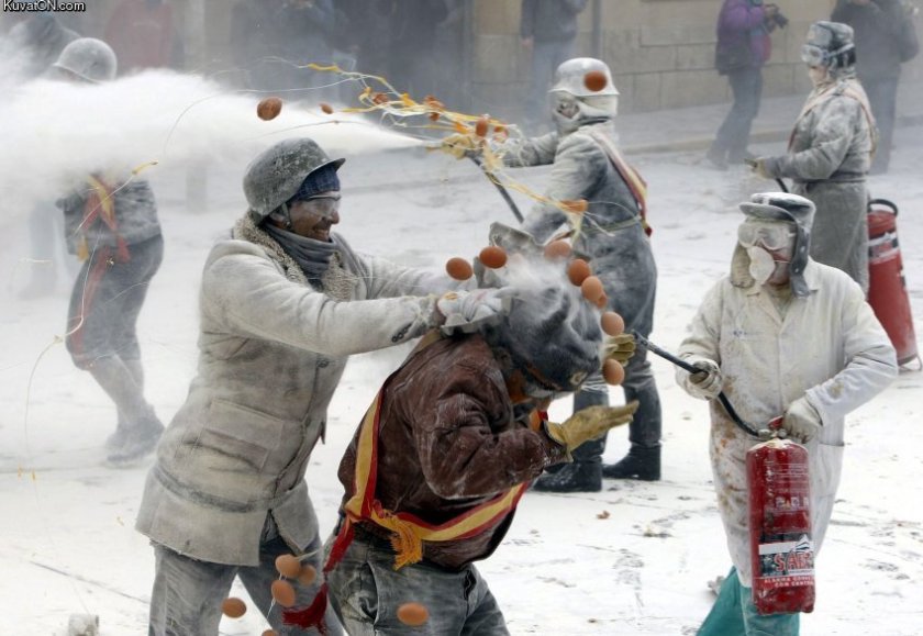 urn:newsml:dpa.com:20090101:091228-11-10553