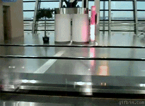 Window Washer Production Line_Gif Bin 100211