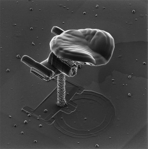 USS Enterprise_NCOTB