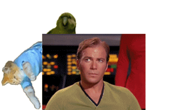 Attack of the Memes_Your daily gif blog