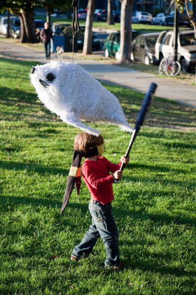 Baby Seal Pinata_Izismile
