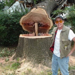 ignosecond-tree-5_demonicious