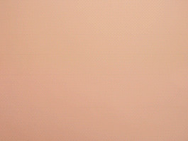 Scissors Fish_Marks Scrapbook 100611