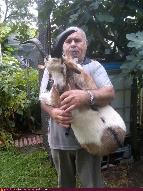 Bagpipes_Picture is Unrelated