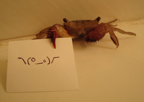 Emoticrab_mendel's soup