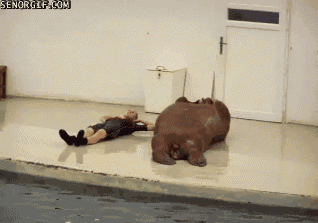 Walrus Situps