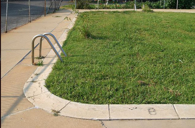 Algae Pool_Bits and Pieces