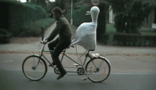 Bicycle Duck
